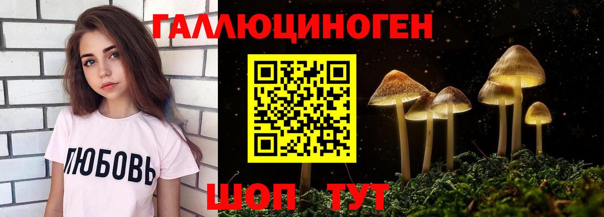 Котлас  Галлюциногенные грибы GOLDEN TEACHER  Вход с VPN  закладки  Галлюциногенные грибы Psilocybine cubensis 